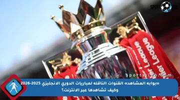 «بوابة المشاهد» القنوات الناقلة لمباريات الدوري الإنجليزي 2025-2026 وكيف تشاهدها عبر الإنترنت؟